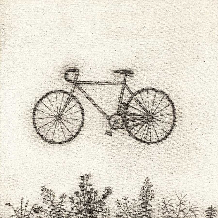 Bicycle's album cover.