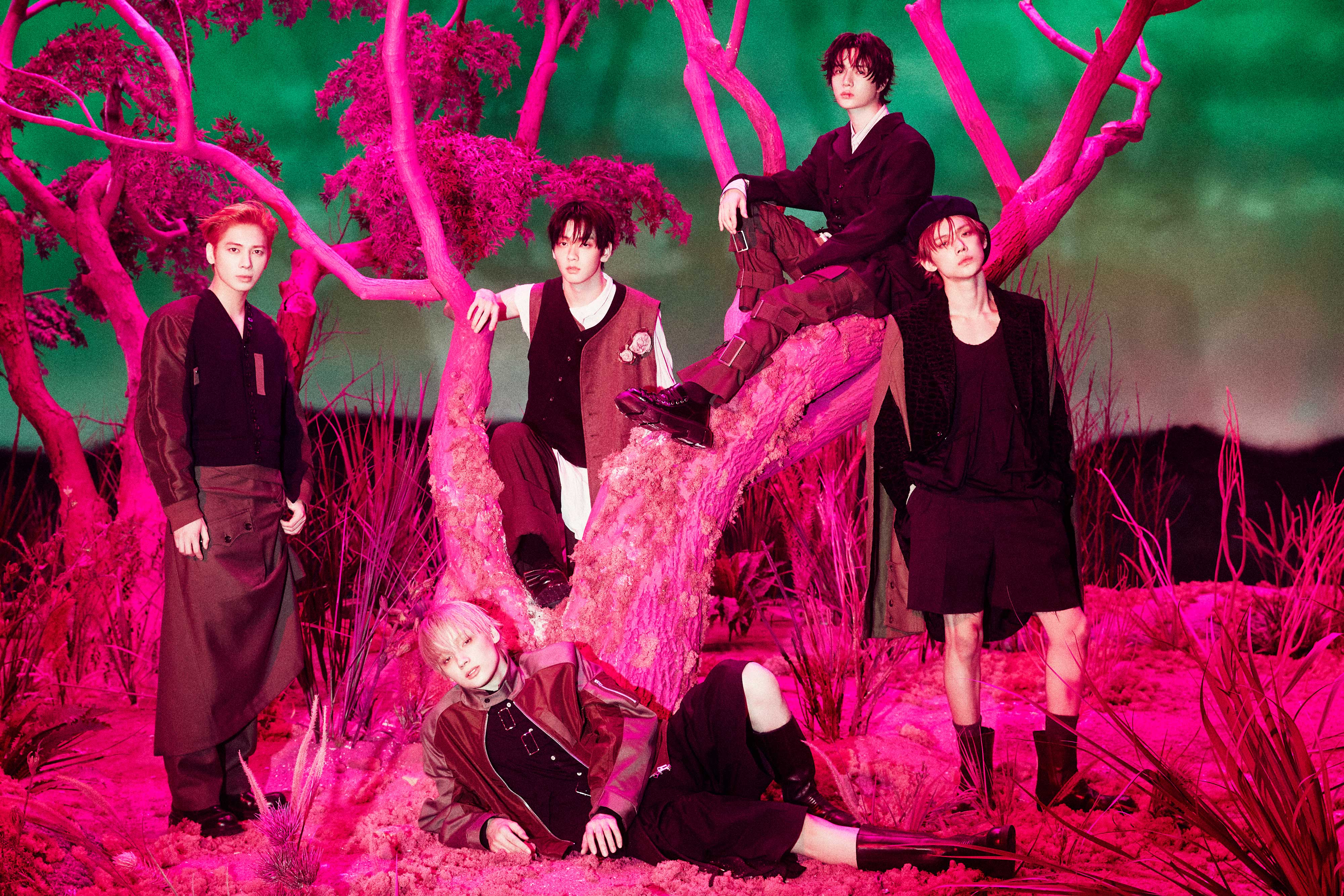 7TH YEAR: A Moment of Stillness in the Thorns | TOMORROW X
