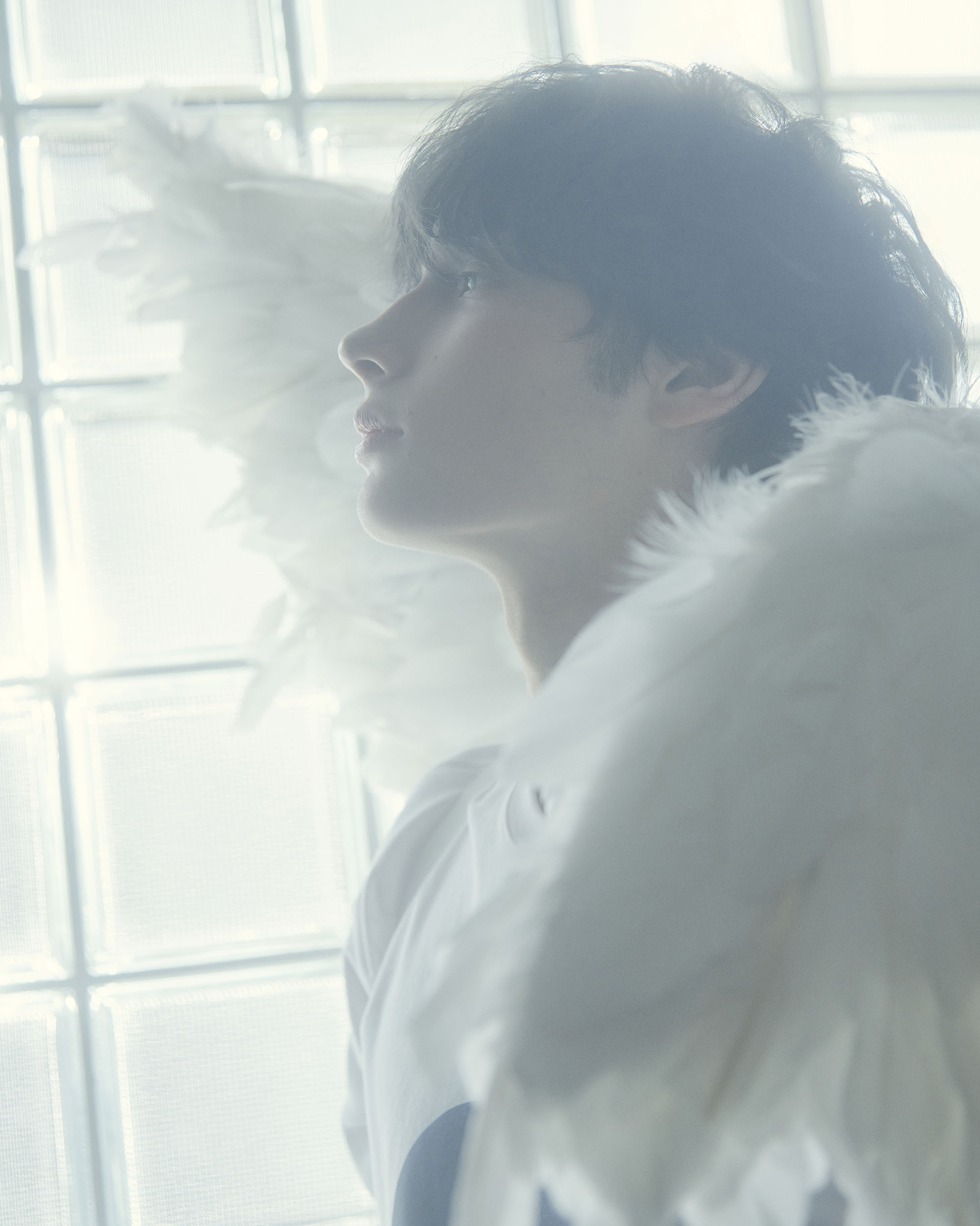 ANGEL-HK-2