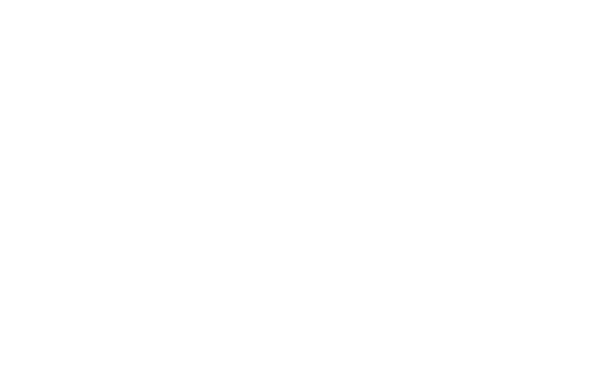 The Astronaut Description