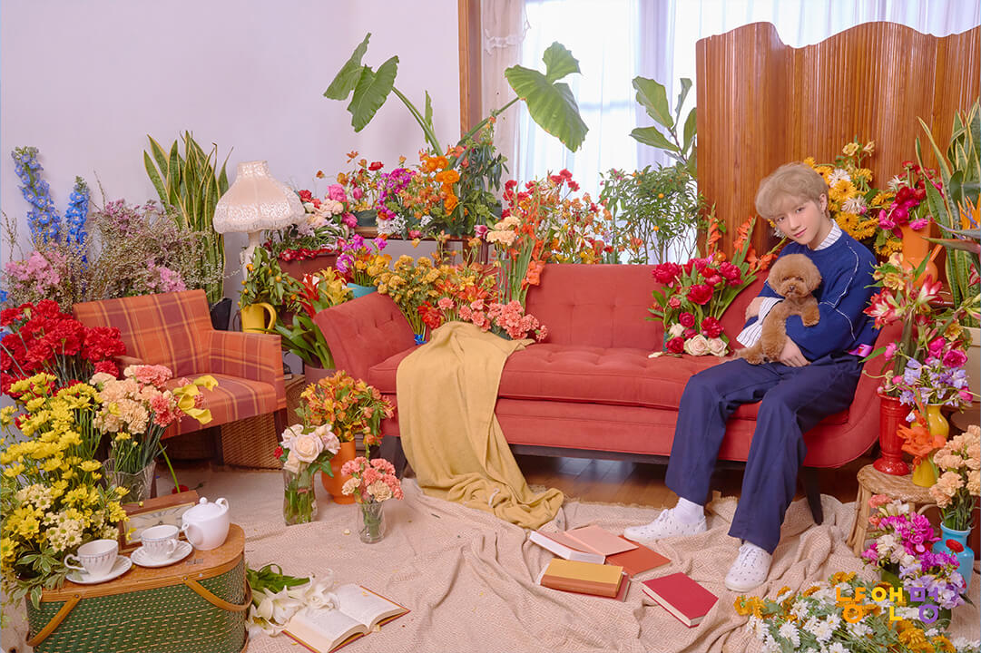 Cat & Dog CONCEPT PHOTO; Photo of TOMORROW X TOGETHER member BEOMGYU.